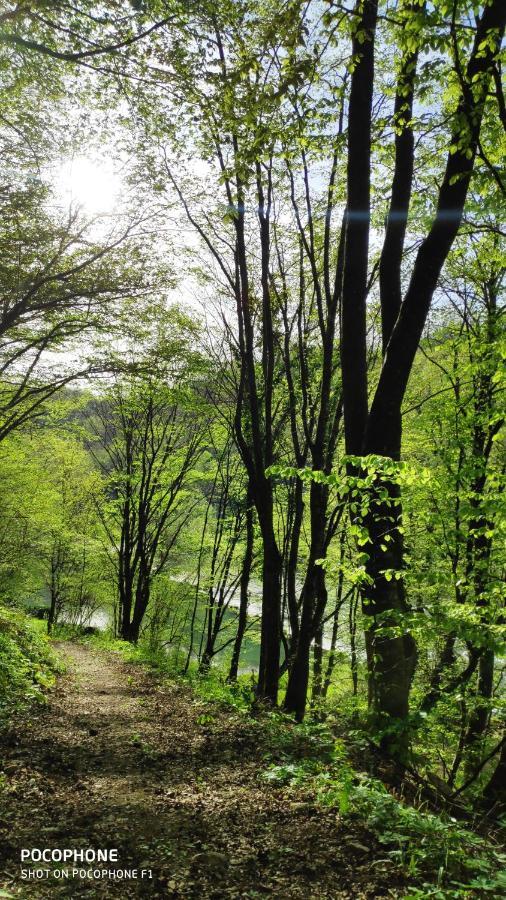 Smaragd River Near Rastoke & Plitvice Lakes Slunj Buitenkant foto